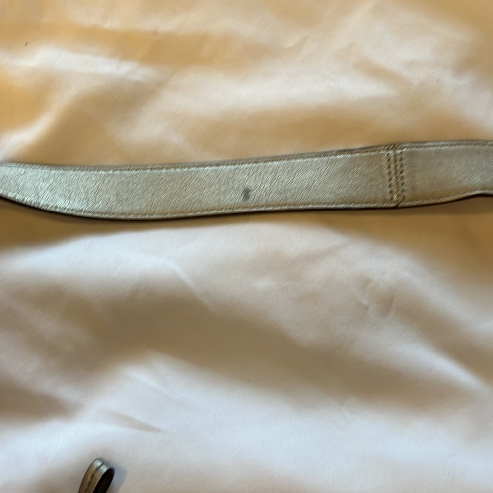 COACH Grey and Silver Shoulder Crossbody Purse Medium Sized - Picture 5 of 9